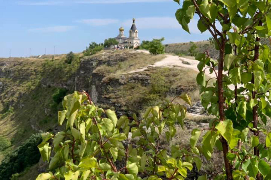 Toamna